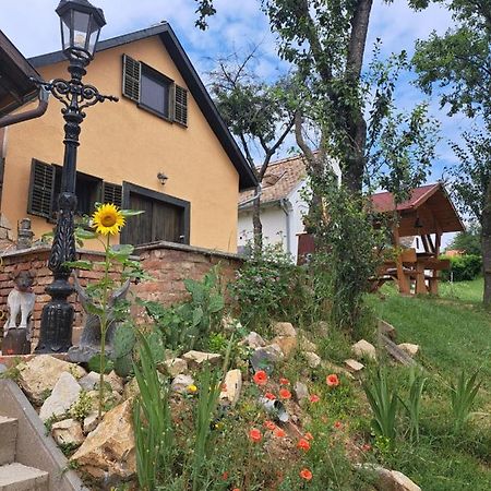 Villa Macskajaj Vendeghaz Mecseknádasd Exterior foto