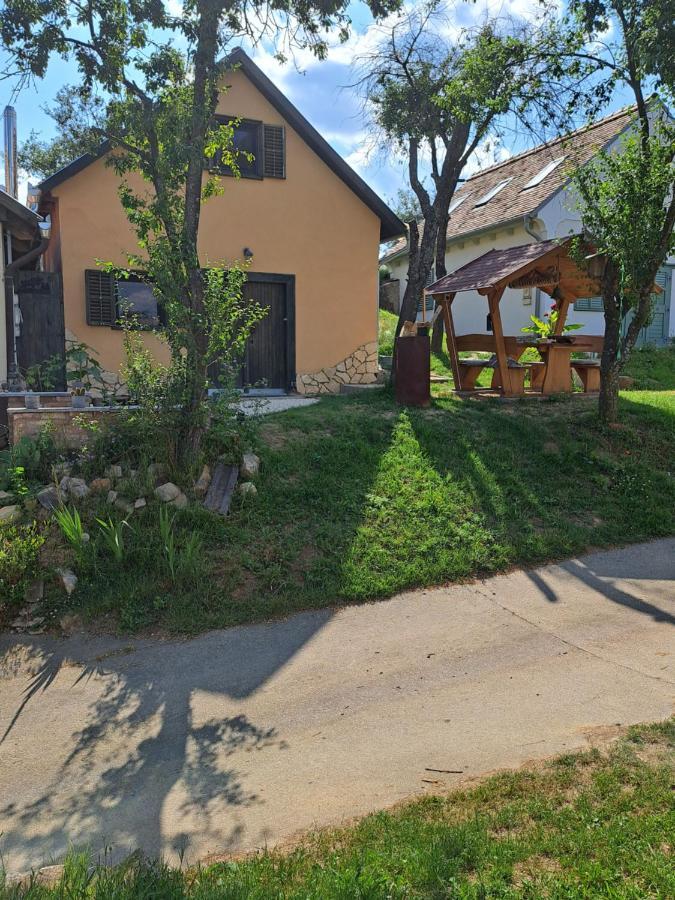 Villa Macskajaj Vendeghaz Mecseknádasd Exterior foto