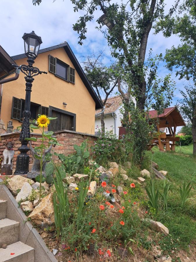 Villa Macskajaj Vendeghaz Mecseknádasd Exterior foto